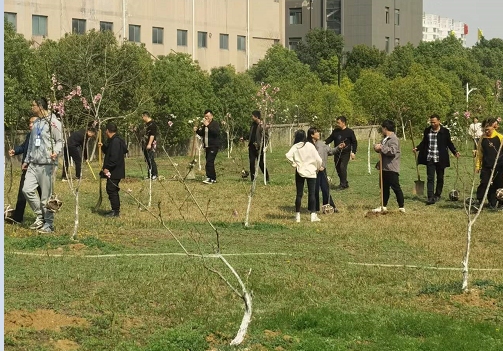 1678930527869548.jpg 4.jpg